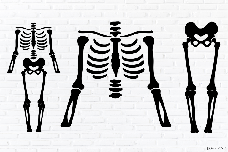 skeleton svg free